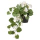 FEJKA yapay bitki, ıtır çiçeği beyaz
